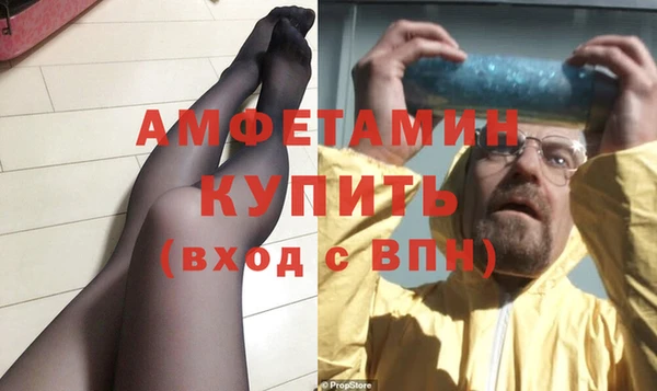 молекула духа Ельня