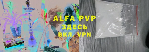 молекула духа Ельня