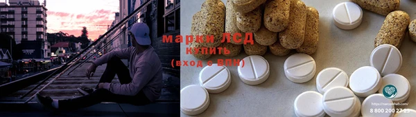 молекула духа Ельня