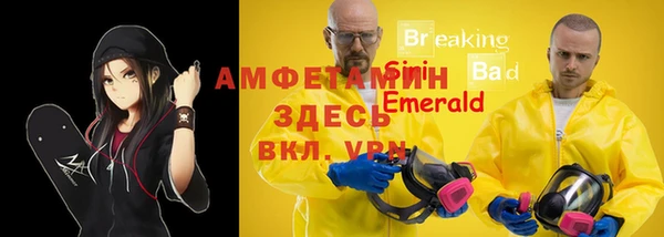 молекула духа Ельня