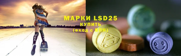 PSILOCYBIN Санкт-Петербург