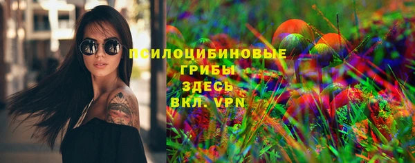 молекула духа Ельня