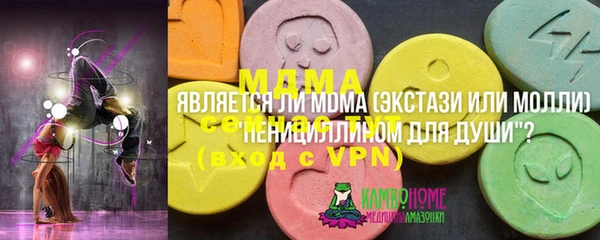 молекула духа Ельня