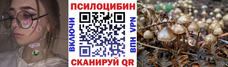 Псилоцибиновые грибы мухоморы Зарайск